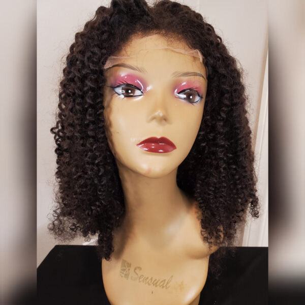 Brazilian Kinky Curly Wig Front View