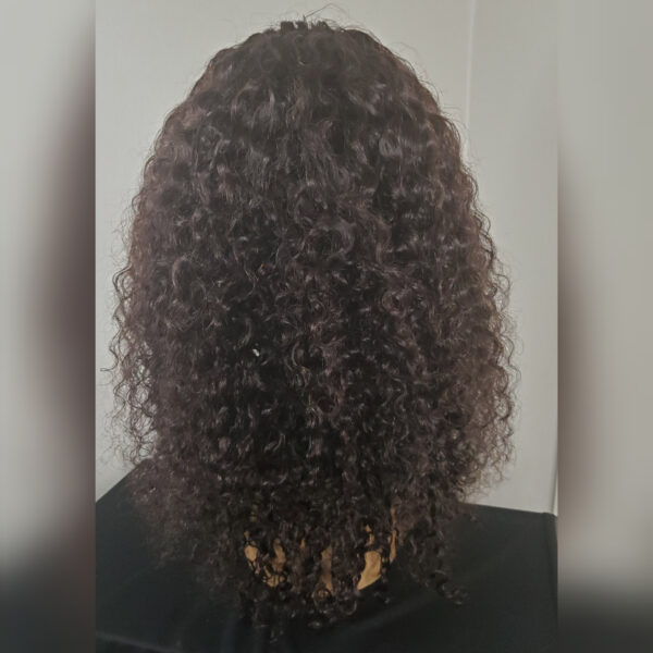 Rear View of Brazlian Curly Wig